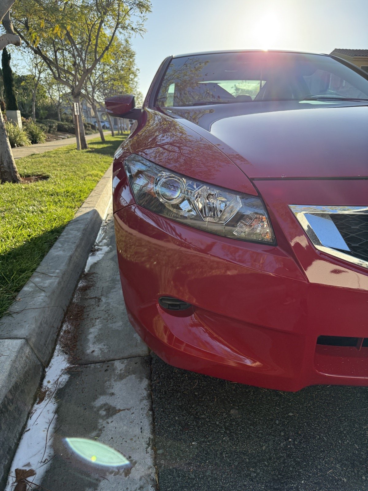 Same Honda Accord after headlight restoration — clear and UV-sealed